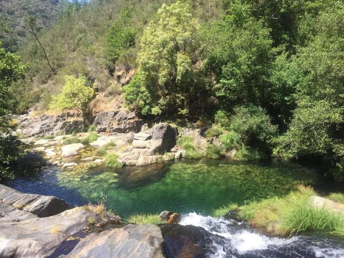 Lago Da Garca Guesthouse São Pedro do Sul Exteriör bild